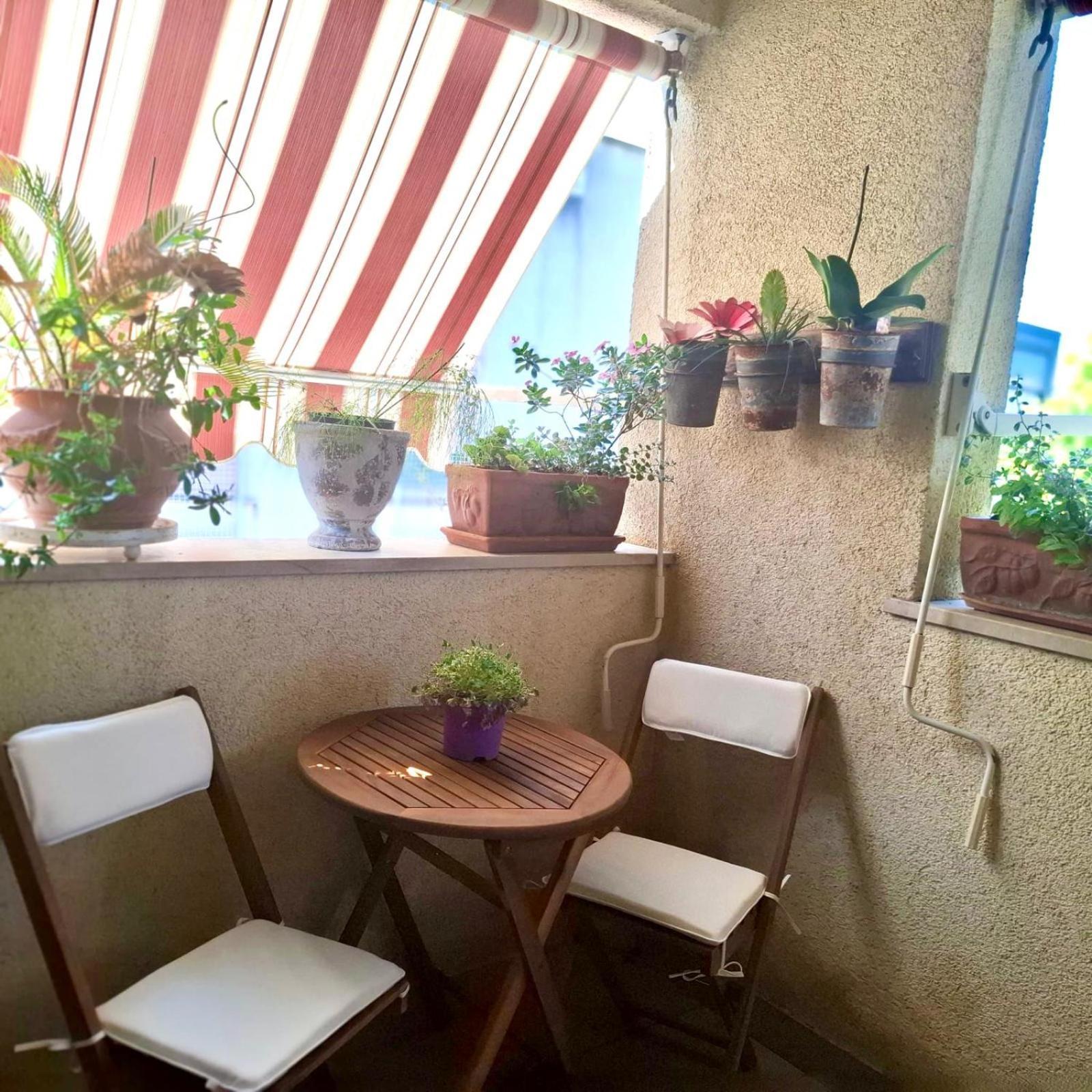 Apartman Bizzbuzz